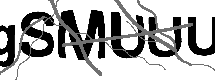 Loading CAPTCHA Image...